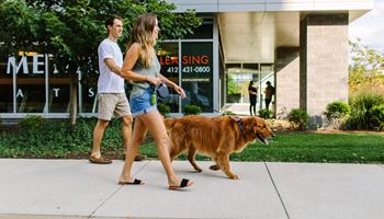 a man and a woman walking a dog on a leash on a sidewalk